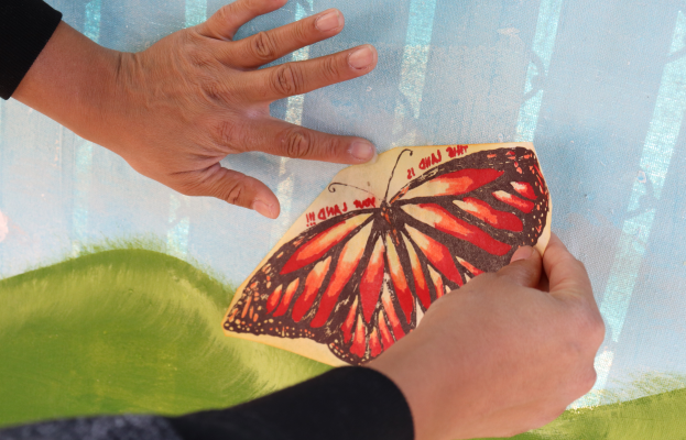 This land is your land butterfly 